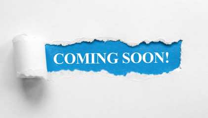 Sub-Website 2